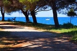 Međunarodni ljetni kamp hrvatskog jezika u Savudriji 1 Međunarodni ljetni kamp hrvatskog jezika u Savudriji